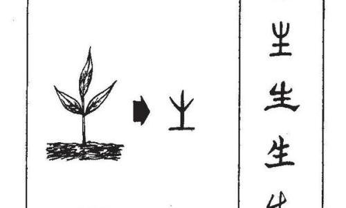 权威更年期脸色黄如何调理中药方剂平台,分享专业更年期脸黄怎么调理知识_更年期脸色黄如何调理中药网
