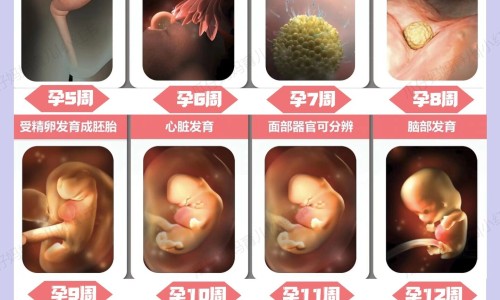 更年期妇女脸色暗黄-权威更年期脸色黄如何调理中药方剂平台,分享专业更年期脸黄怎么调理知识_更年期脸色黄如何调理中药网