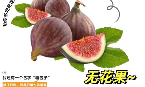 更年期脸色暗黄吃啥药-权威更年期脸色黄如何调理中药方剂平台,分享专业更年期脸黄怎么调理知识_更年期脸色黄如何调理中药网